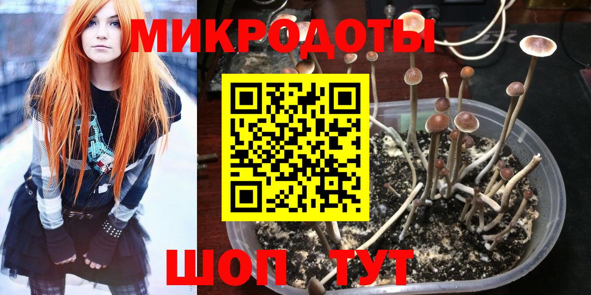 Псилоцибиновые грибы MAGIC MUSHROOMS  Вход с VPN  Златоуст  Галлюциногенные грибы GOLDEN TEACHER 